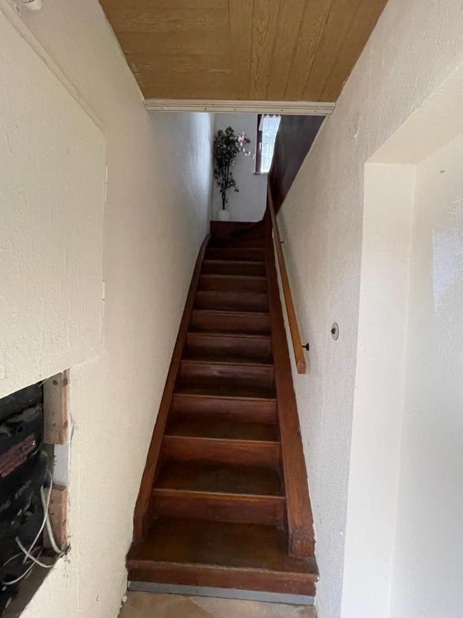 Bollgarten Apartment 8 Köln Ngoại thất bức ảnh